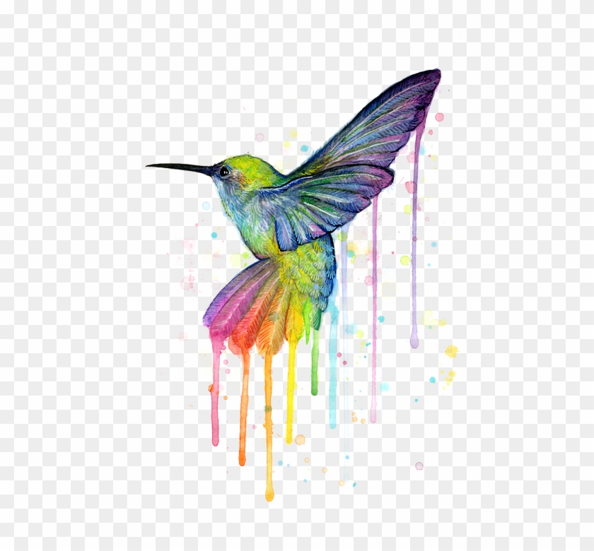 Rainbow Hummingbird Clipart Hummingbird Watercolor - Rainbow Hummingbird #1339265