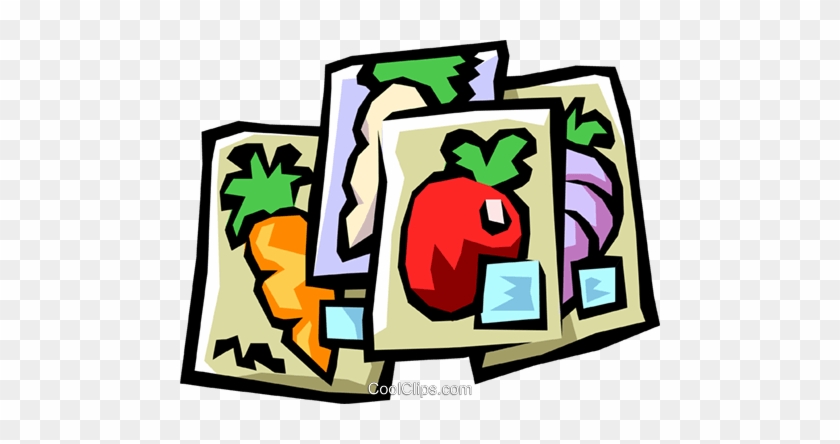 Vegetable Seeds Royalty Free Vector Clip Art Illustration - Clip Art #1339324