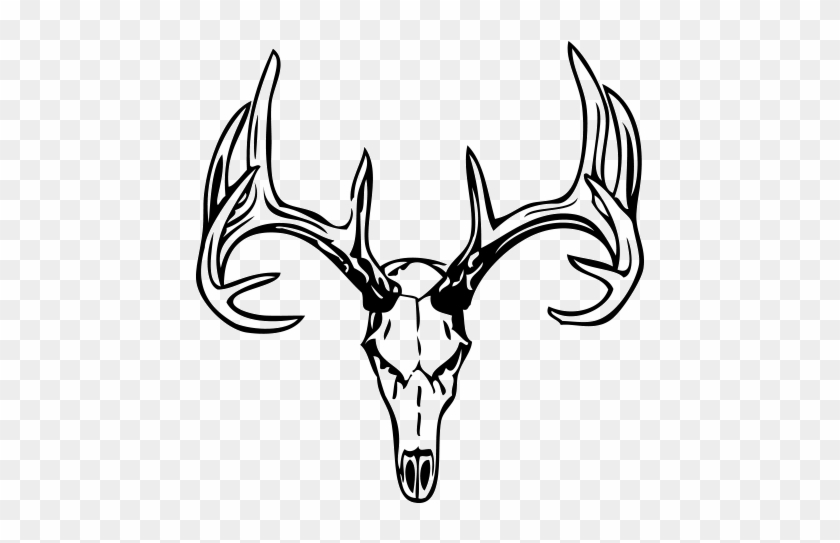 Drawings Of Deer Skulls - Man Deer Skull Tattoos #1339536