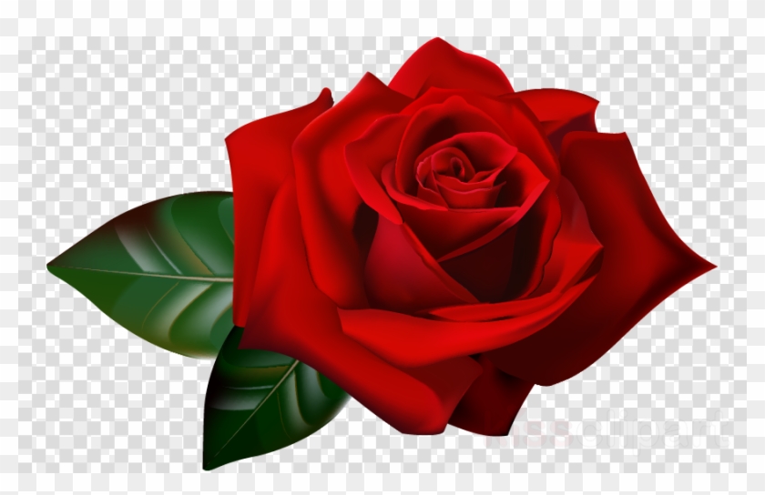 Red Rose Border Clipart Flower Garden Roses Clip Art - Red Roses Border Png #1339681