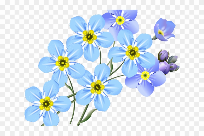 Forget Me Not Clipart Bunch - Forget Me Knot Drawing #1339748