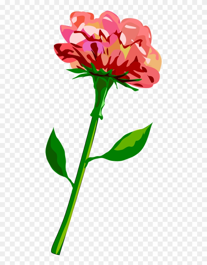 Clip Art For Liturgical Year Carnation Computer Icons - Flower And Stem Png #1339907