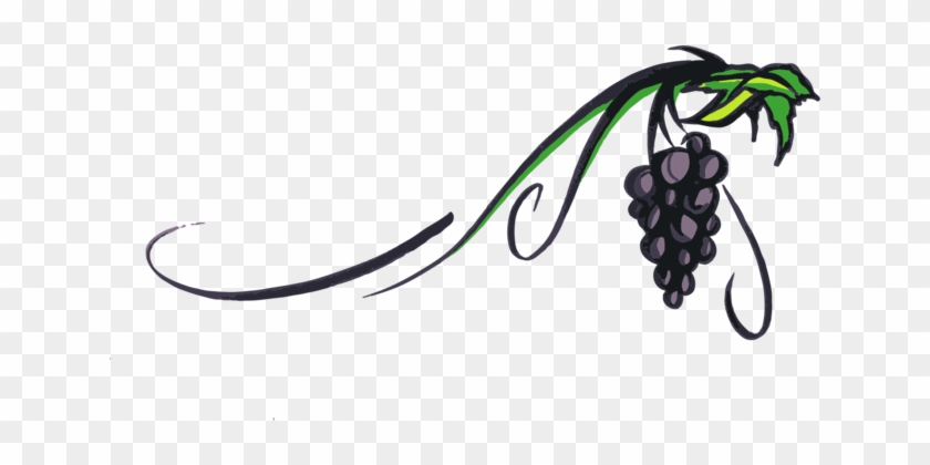 White Wine Red Wine Piquepoul Grape - Transparent Grape Vine Clipart #1340244
