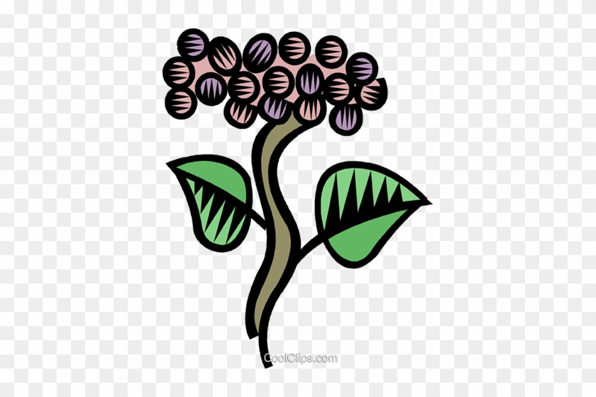 Grape Vines Royalty Free Vector Clip Art Illustration - Grape #1340247