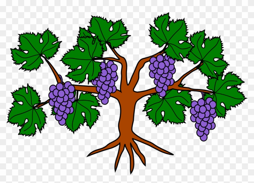 Grapes Heraldry #1340252