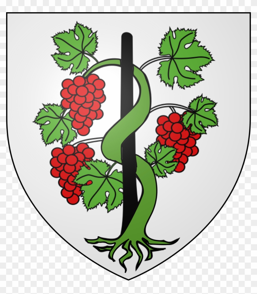 Blason Guyon - Coat Of Arms #1340264