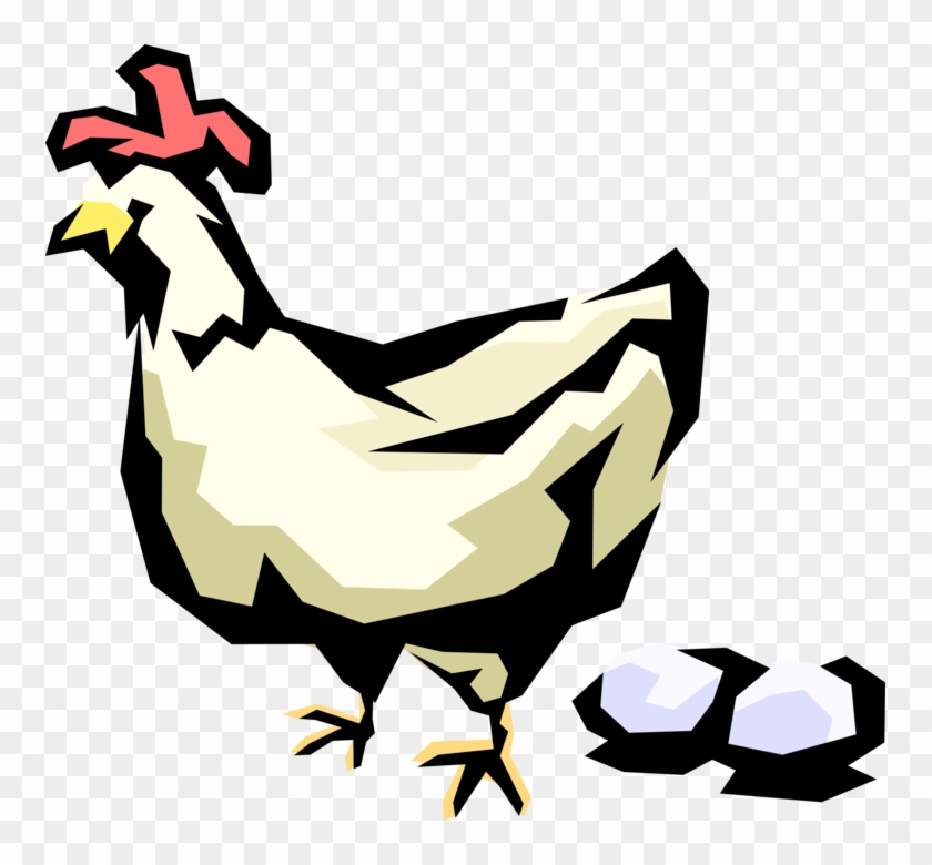Vector Illustration Of Domesticated Fowl Chicken Lays - Des Parisiens Et Des Poules ! #1340563