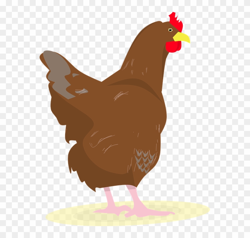Free Photo Eggs Chicken Rooster Party Chick - Con Gà Mái Vector #1340571