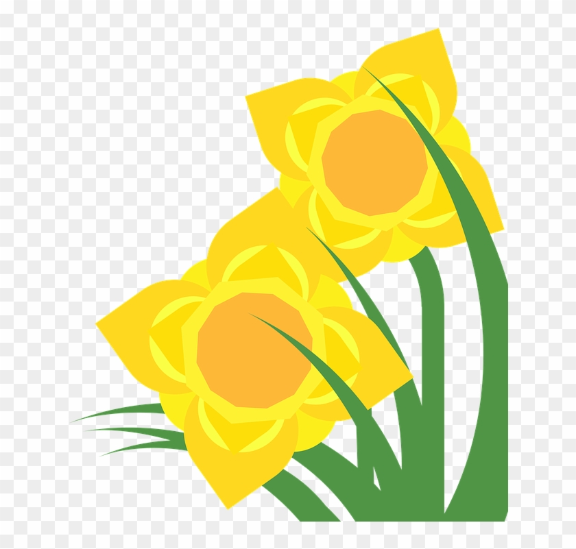 Clipart, Daffodil, Narcissus, Spring, Flower, Plant - Clipart Hoa #1340574