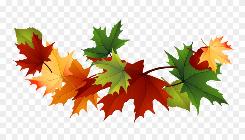 Fall Leaves - Free Fall Clip Art Leaves #1340584