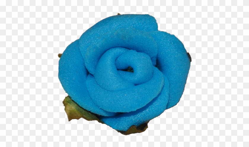 Blue Rose - Rose #1340697
