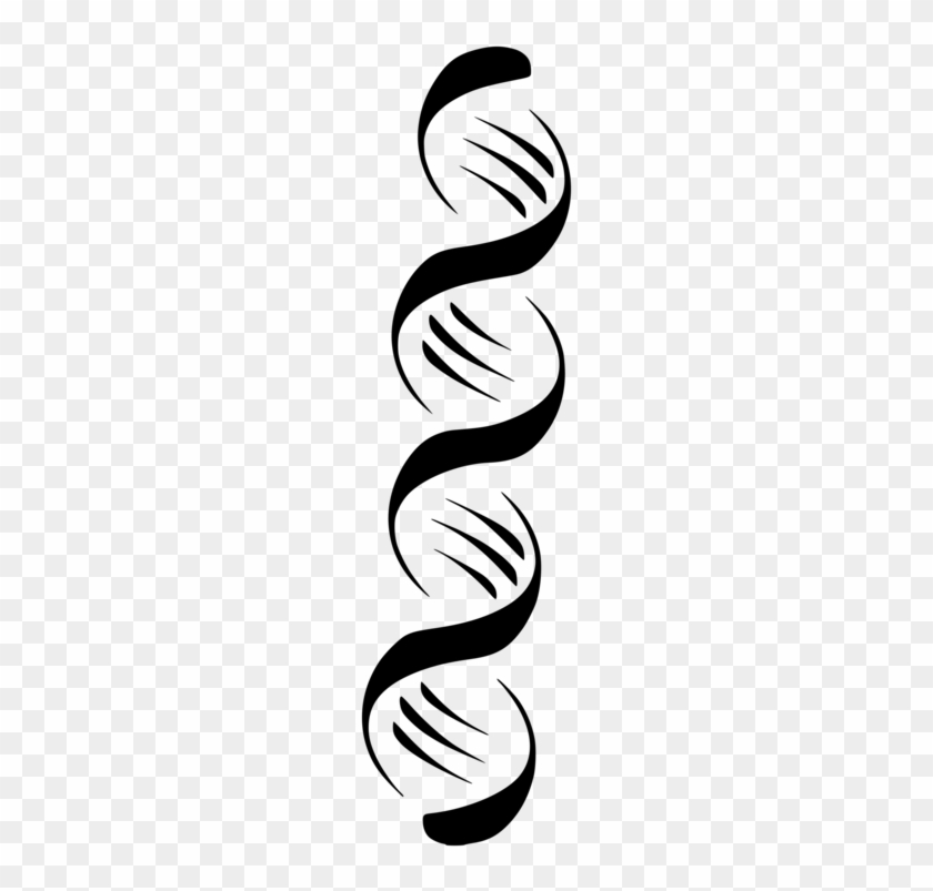 Nucleic Acid Double Helix A-dna Computer Icons - Double Helix Dna Vetor #1340878