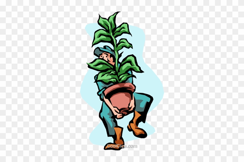 Moving Royalty Free Vector Clip Art Illustration - Carrying A Plant #1341006