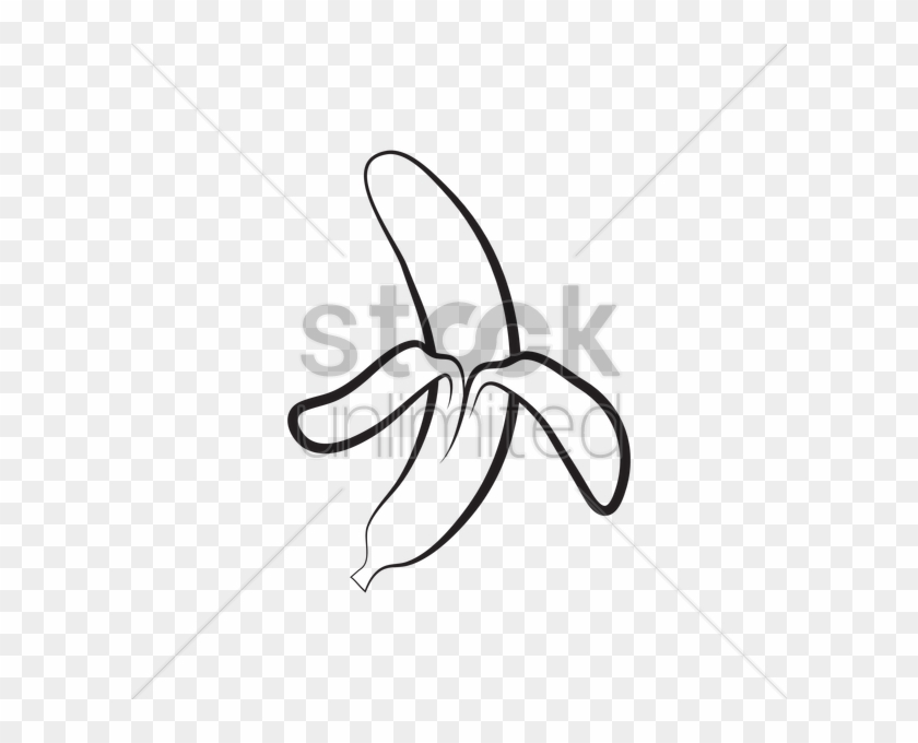 Peeled Banana Drawing At Getdrawings - Vector Graphics #1341151