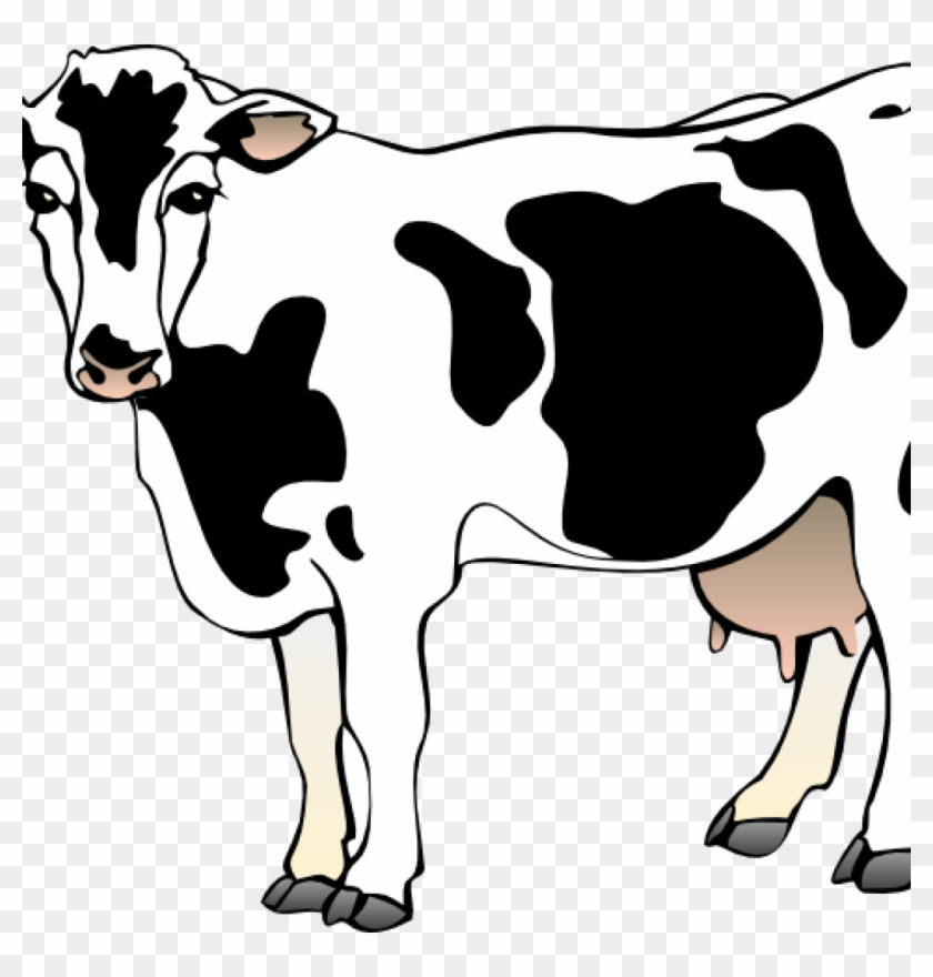 Free Cow Clipart Cow Clipart Cow 11 Clip Art Vector - Clipart Of Cow #1341208