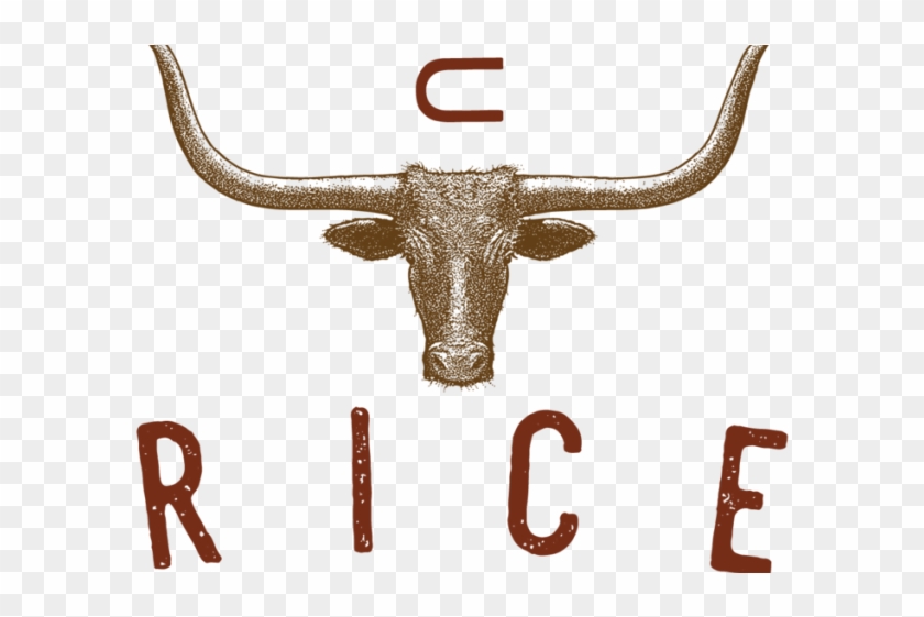 texas longhorn cattle clipart