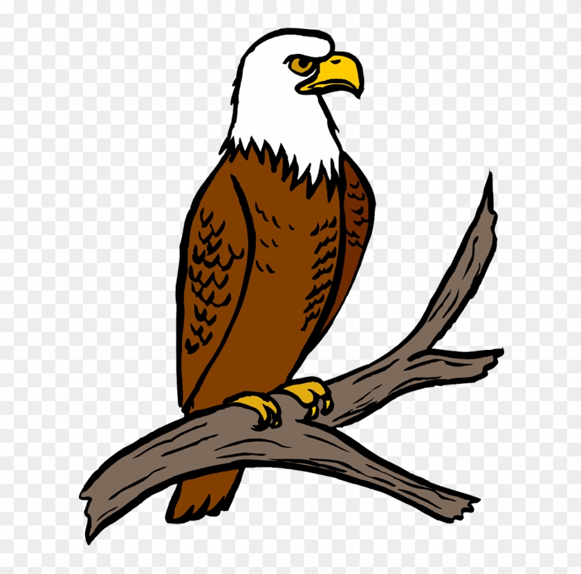 Free Eagle Clipart - Eagle Clip Art #208673