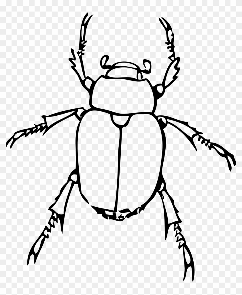 June - Insect Black And White Clipart #210153