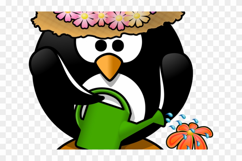 Spring Clipart Penguin - Colors Of A Penguin #1341466