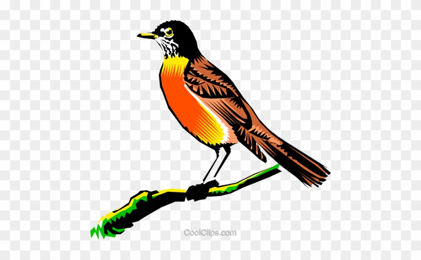 Robin On A Branch Royalty Free Vector Clip Art - Love You Nita #1341470