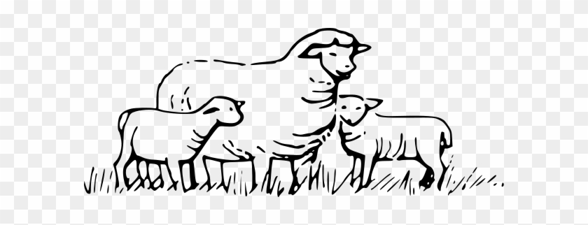 Sheep In Field Png Clip Arts - Sheeps Black And White #1341487