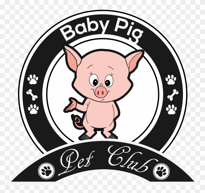 Baby Pig - Jpeg #1341652