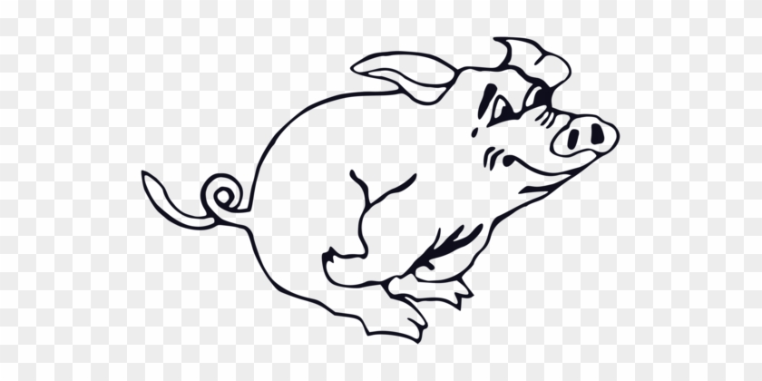 Domestic Pig Line Art Drawing Download - Snowball Animal Farm Drawing #1341679