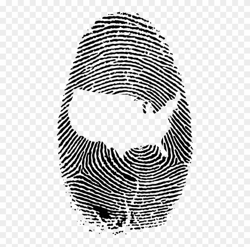 Fibonacci Number Golden Ratio Fingerprint Spiral - Finger Print #1341721