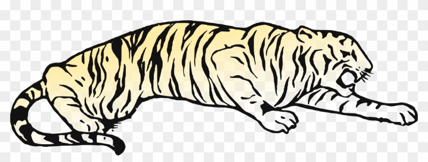 All Photo Png Clipart - Tiger #1341759