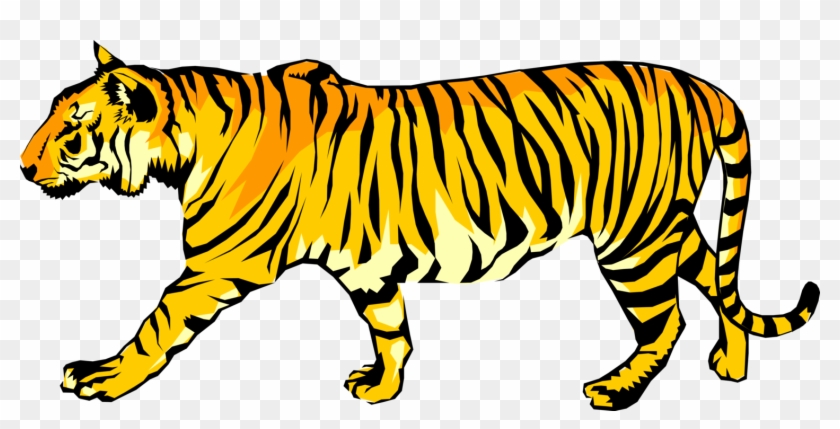 Vector Illustration Of Royal Bengal Tiger From From - Animated Walking Tiger  Cliparts - Free Transparent PNG Clipart Images Download