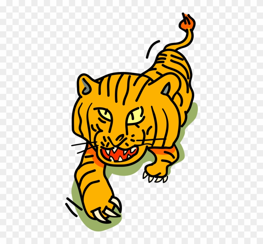 Vector Illustration Of Royal Bengal Tiger From From - Siberian Tiger #1341777