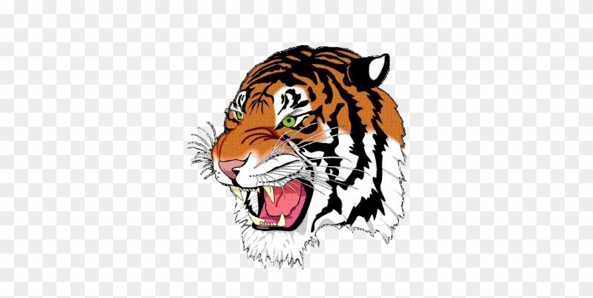 North Allegheny Tiger Logo #1341785