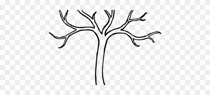 Clipart Library Asymmetrical Drawing Tree - Bare Tree Clipart Outline #1342071