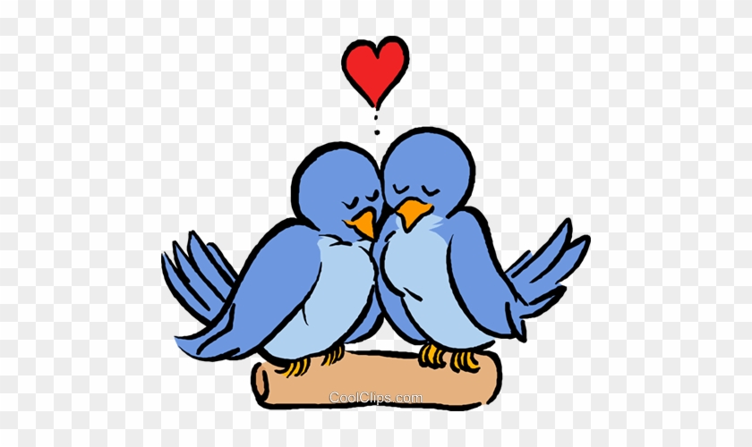 Love Birds Royalty Free Vector Clip Art Illustration - Love Birds Clipart #1342208