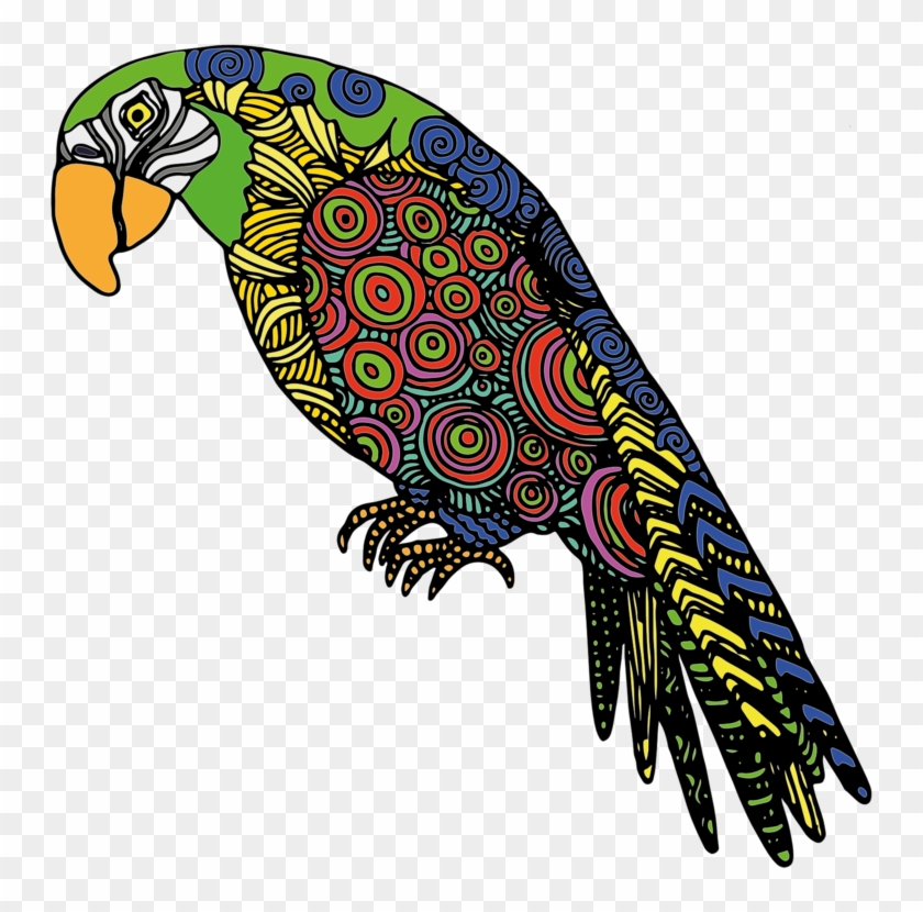 All Photo Png Clipart - Abstract Colorful Parrots In Yellow Red Green Blue #1342212