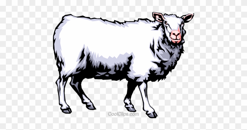 Sheep Royalty Free Vector Clip Art Illustration -anim0367 - Sheep Sounds #1342330