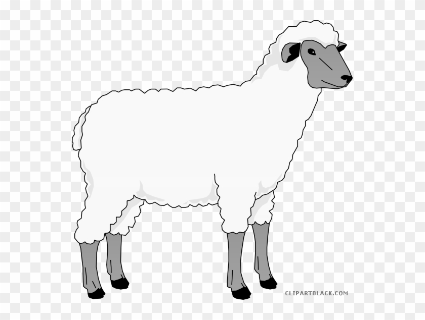 Sheep Clip Art Clipart Goat Merino Clip Art - Sheep Png Clip Art #1342351