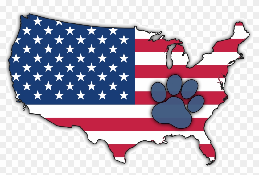 Paws For Adventure - United States Animated Map #1342546