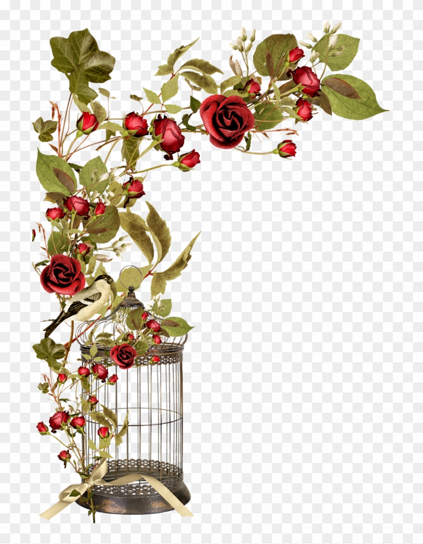 Borders * Cantoneiras * Cluster Rose Flowers, Red Roses, - Jaula Con Rosas En Png #1342724