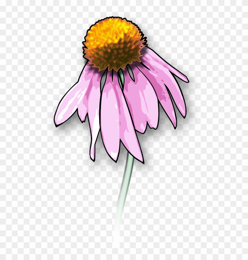 Drawing Death Download Dead Flowers Art - Dead Flower Clipart #1342786