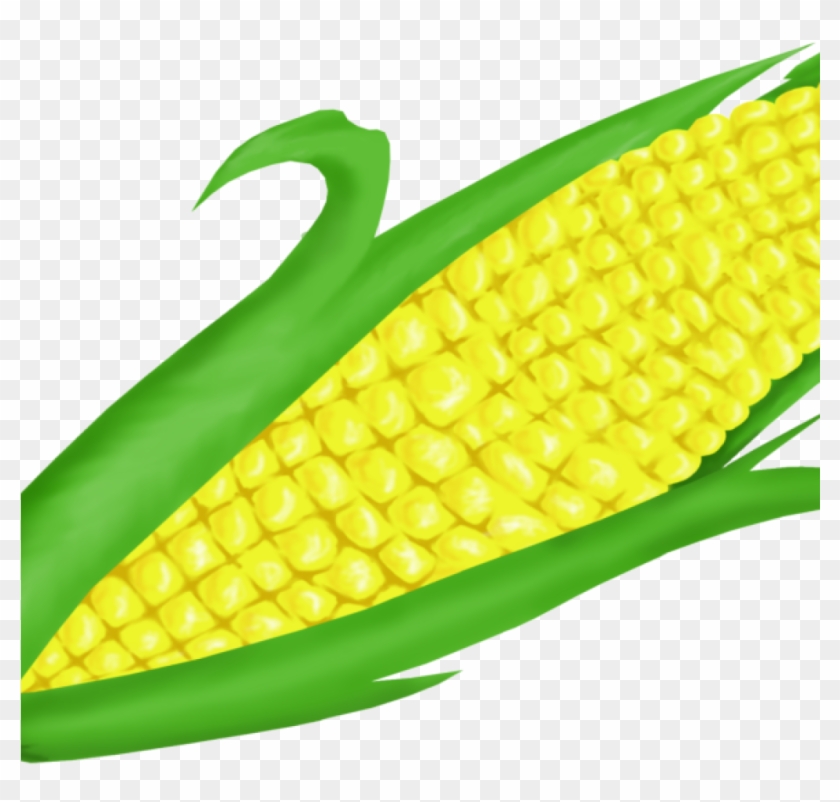 Corn Clipart Free Corn Clip Art Free Clipart Panda - Corn On Cob Clipart #1342816