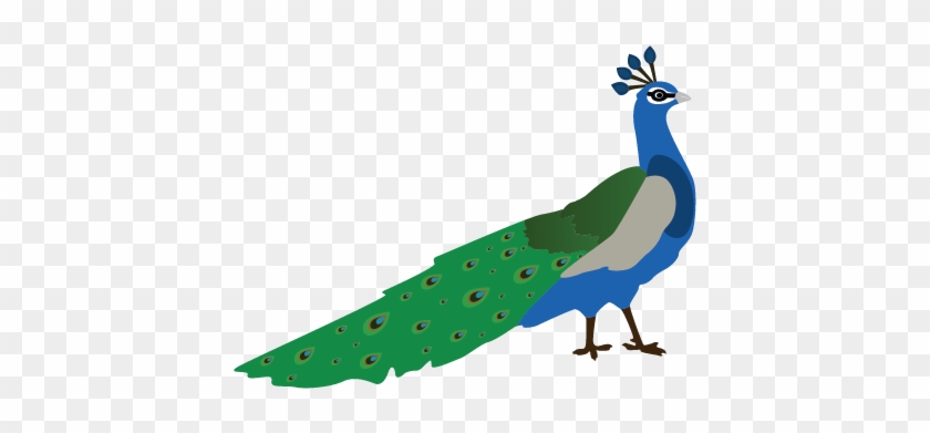 Walking Peacock Clipart Animal Clip Arts - 3 Peacock Clipart #1343023