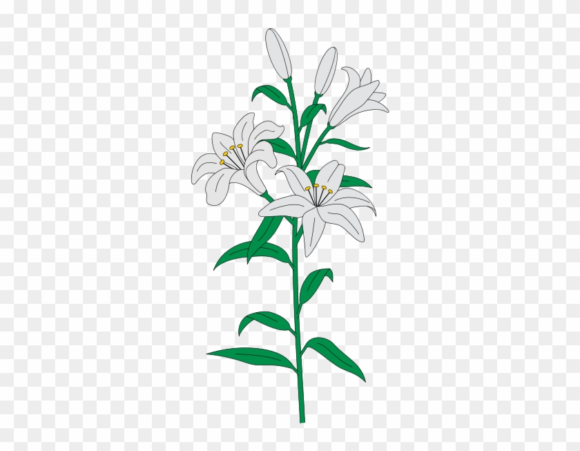 Sympathy - Monocotyledon #1343621