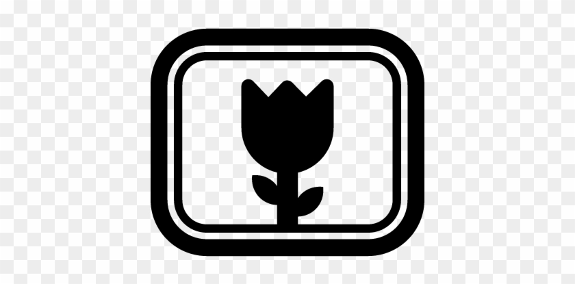 Flower Photo Camera Option Symbol For Close Up Vector - Symbol #1343726