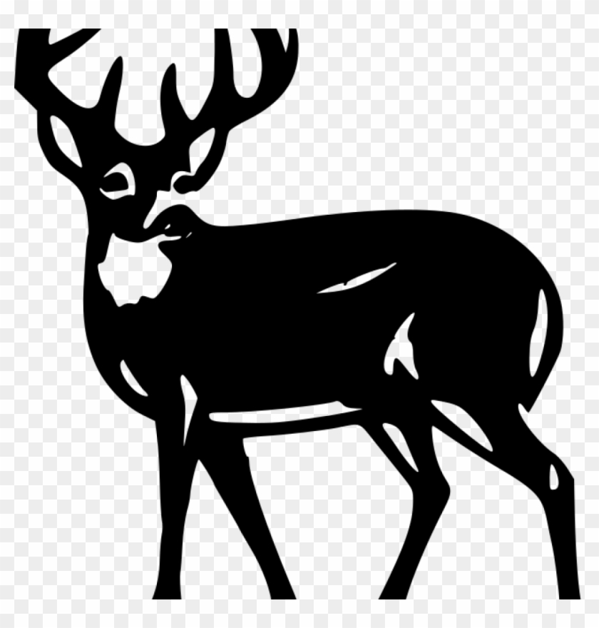 Deer Silhouette Clip Art White Deer Silhouette At Getdrawings - Buck Deer Clipart Black And White #1343949