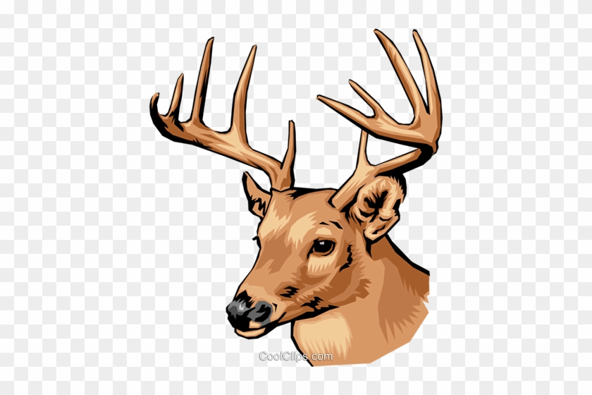 Deer Royalty Free Vector Clip Art Illustration - Dunham Massey Deer Beer #1343964