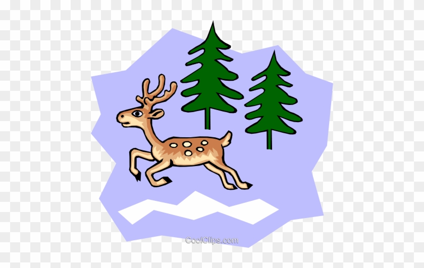 White-tailed Cartoon Deer Royalty Free Vector Clip - Deer #1343972