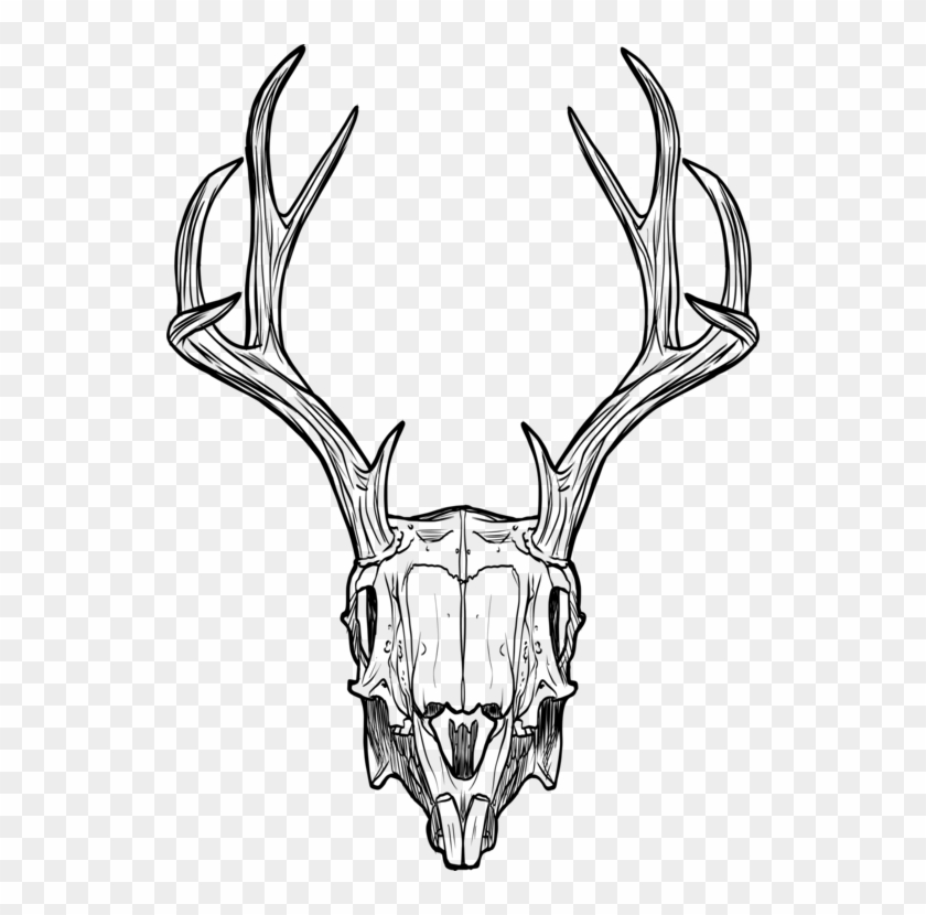 Jackalope Deer Animal Skulls Horn - Pixel Rabbit Skull #1343974