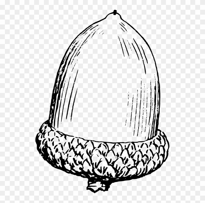 Drawing Acorn Computer Icons Line Art Oak - Black And White Acorn Clip Art #1343990