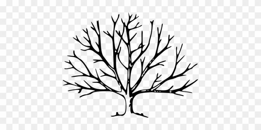Leaf Tree Drawing Oak Branch - Tree With No Leaves #1344006